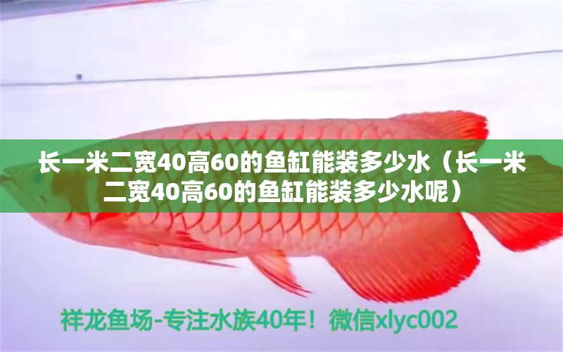 长一米二宽40高60的鱼缸能装多少水（长一米二宽40高60的鱼缸能装多少水呢） 鱼缸百科