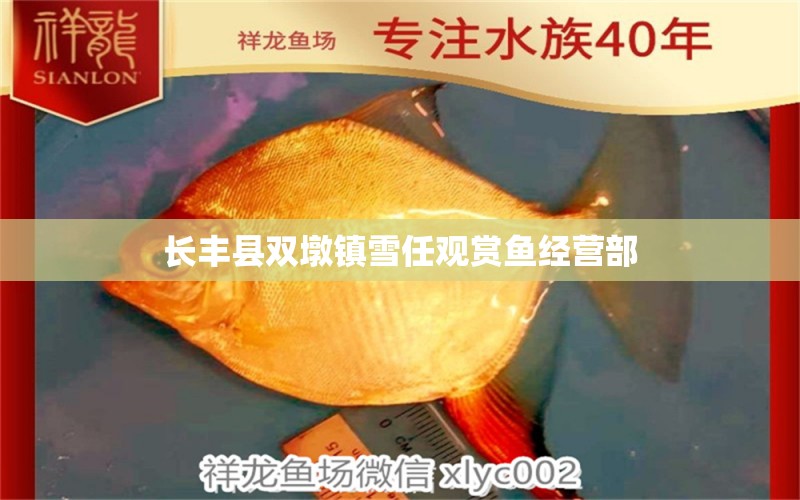 长丰县双墩镇雪任观赏鱼经营部 全国水族馆企业名录