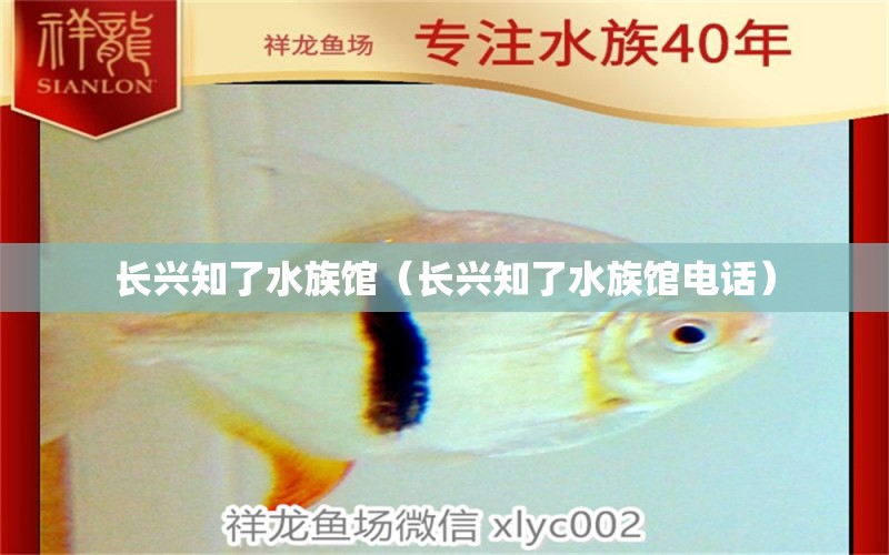 长兴知了水族馆（长兴知了水族馆电话） 全国水族馆企业名录