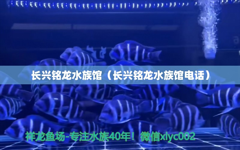 长兴铭龙水族馆（长兴铭龙水族馆电话）