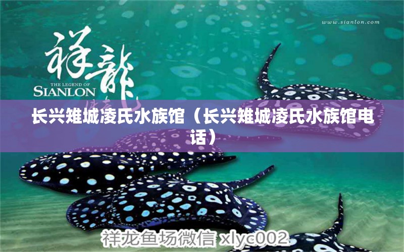 长兴雉城凌氏水族馆（长兴雉城凌氏水族馆电话） 全国水族馆企业名录