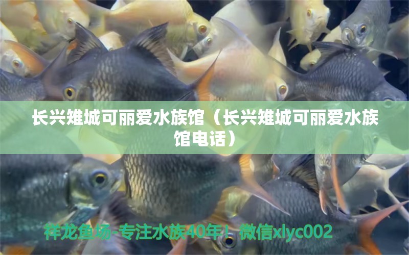 长兴雉城可丽爱水族馆（长兴雉城可丽爱水族馆电话） 全国水族馆企业名录