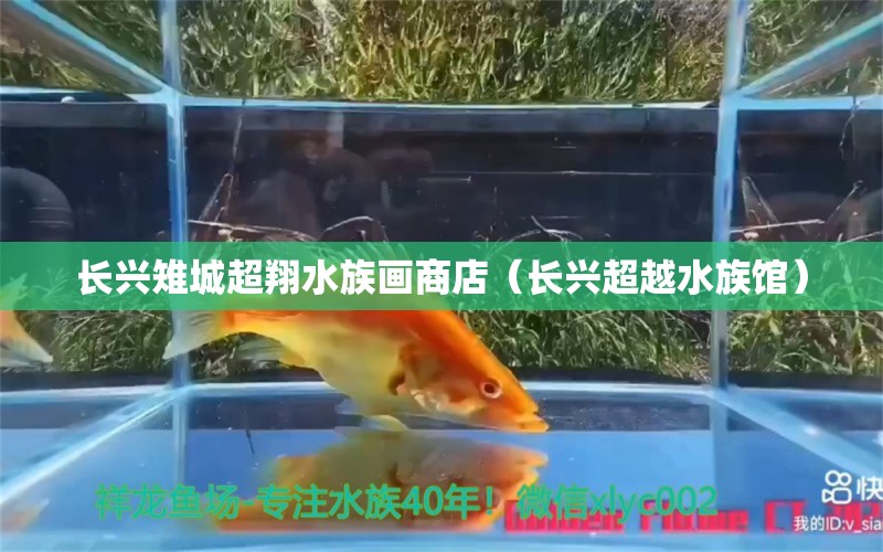 长兴雉城超翔水族画商店（长兴超越水族馆） 全国水族馆企业名录