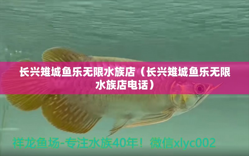 长兴雉城鱼乐无限水族店（长兴雉城鱼乐无限水族店电话）