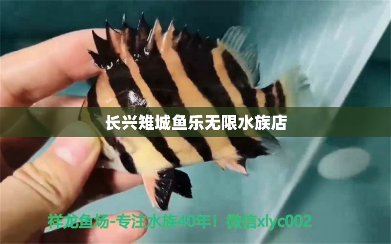 长兴雉城鱼乐无限水族店