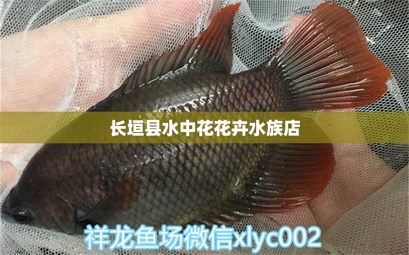 长垣县水中花花卉水族店 全国水族馆企业名录