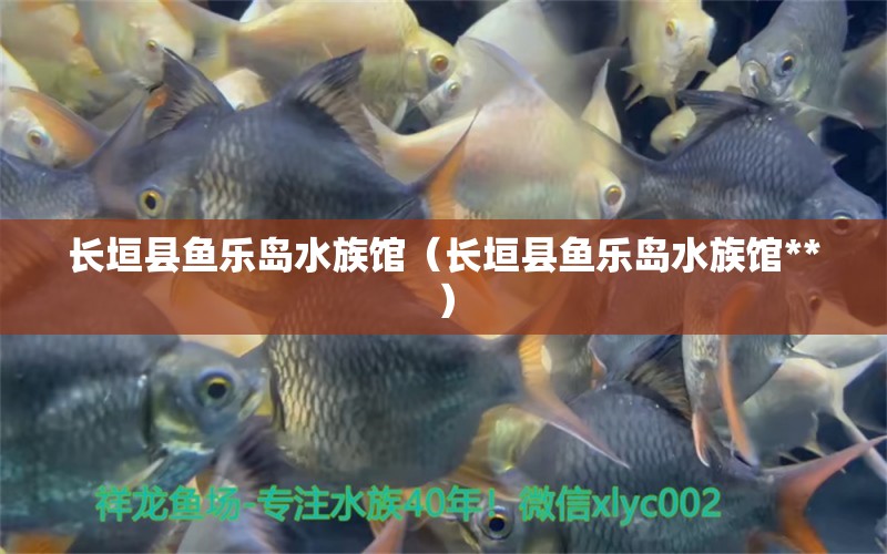 长垣县鱼乐岛水族馆（长垣县鱼乐岛水族馆**）