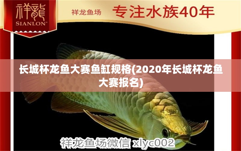 长城杯龙鱼大赛鱼缸规格(2020年长城杯龙鱼大赛报名)