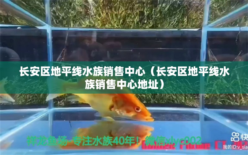 长安区地平线水族销售中心（长安区地平线水族销售中心地址）