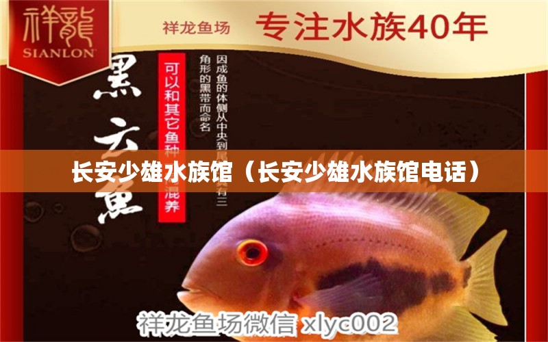 长安少雄水族馆（长安少雄水族馆电话） 全国水族馆企业名录