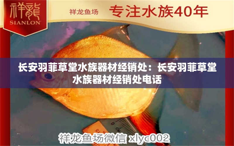 长安羽菲草堂水族器材经销处：长安羽菲草堂水族器材经销处电话