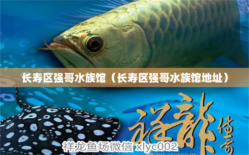 长寿区强哥水族馆（长寿区强哥水族馆地址）