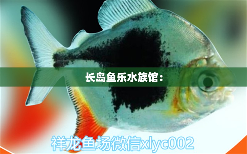 长岛鱼乐水族馆：