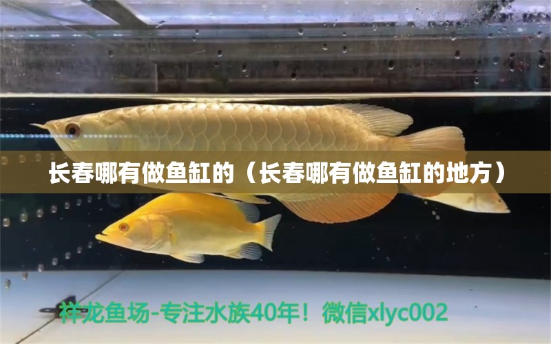 长春哪有做鱼缸的（长春哪有做鱼缸的地方） 其他品牌鱼缸