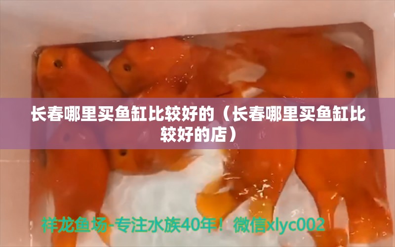 长春哪里买鱼缸比较好的（长春哪里买鱼缸比较好的店）