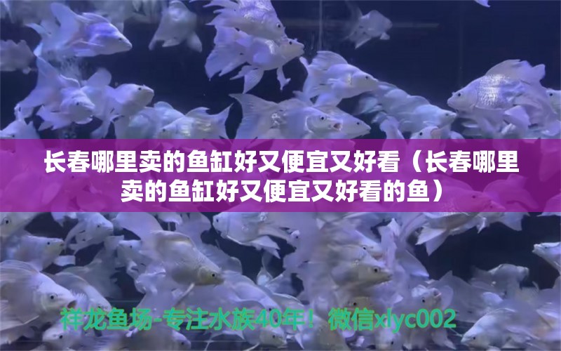 长春哪里卖的鱼缸好又便宜又好看（长春哪里卖的鱼缸好又便宜又好看的鱼） 其他品牌鱼缸