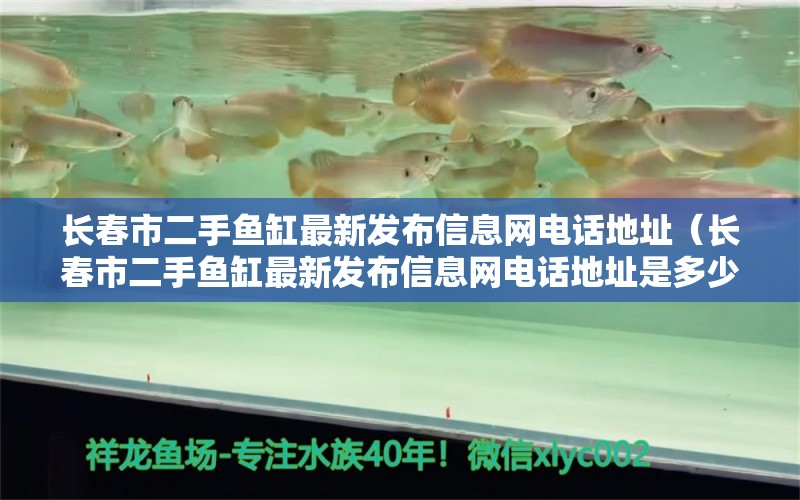 长春市二手鱼缸最新发布信息网电话地址（长春市二手鱼缸最新发布信息网电话地址是多少） 观赏鱼市场（混养鱼）