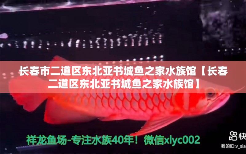 长春市二道区东北亚书城鱼之家水族馆【长春二道区东北亚书城鱼之家水族馆】 全国观赏鱼市场 第2张