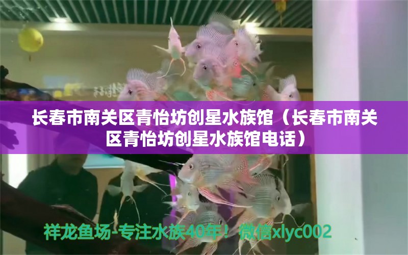 长春市南关区青怡坊创星水族馆（长春市南关区青怡坊创星水族馆电话）