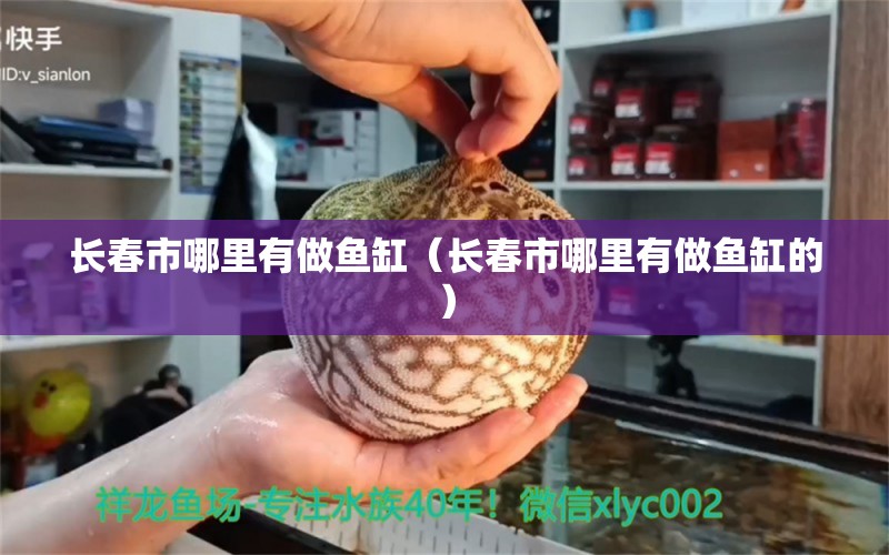 长春市哪里有做鱼缸（长春市哪里有做鱼缸的） 其他品牌鱼缸