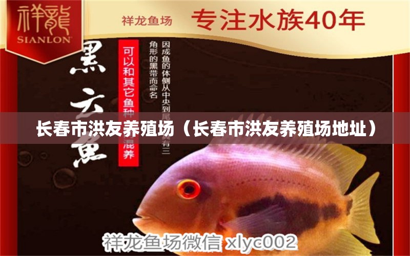 长春市洪友养殖场（长春市洪友养殖场地址） 全国水族馆企业名录