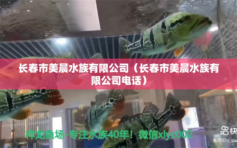 长春市美晨水族有限公司（长春市美晨水族有限公司电话） 全国水族馆企业名录