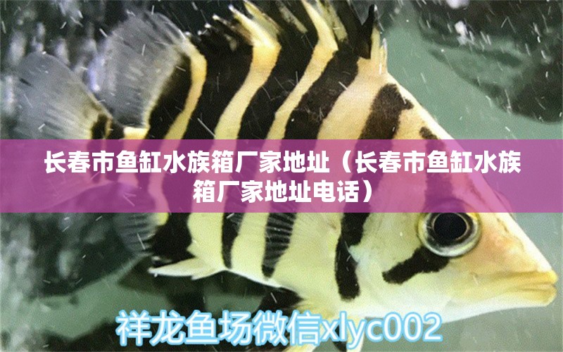 长春市鱼缸水族箱厂家地址（长春市鱼缸水族箱厂家地址电话）