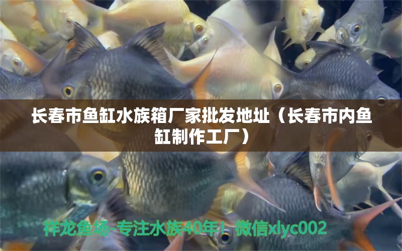 长春市鱼缸水族箱厂家批发地址（长春市内鱼缸制作工厂）