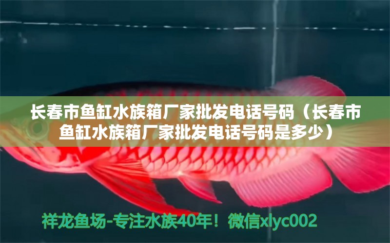 长春市鱼缸水族箱厂家批发电话号码（长春市鱼缸水族箱厂家批发电话号码是多少） 鱼缸/水族箱