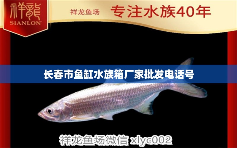 长春市鱼缸水族箱厂家批发电话号