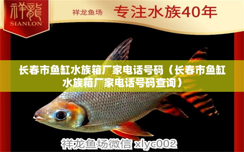 长春市鱼缸水族箱厂家电话号码（长春市鱼缸水族箱厂家电话号码查询） 鱼缸/水族箱