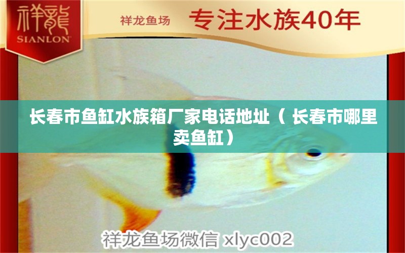 长春市鱼缸水族箱厂家电话地址（ 长春市哪里卖鱼缸） 其他宠物 第1张