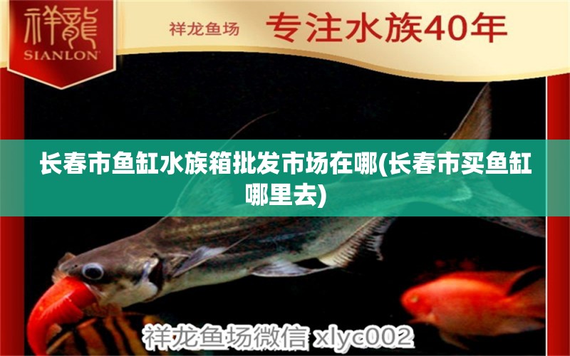 长春市鱼缸水族箱批发市场在哪(长春市买鱼缸哪里去) 鱼缸/水族箱