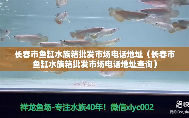 长春市鱼缸水族箱批发市场电话地址（长春市鱼缸水族箱批发市场电话地址查询）