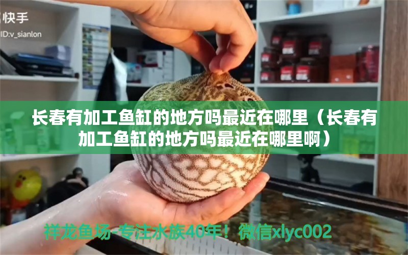 长春有加工鱼缸的地方吗最近在哪里（长春有加工鱼缸的地方吗最近在哪里啊） 申古银版鱼