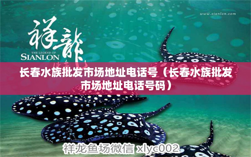 长春水族批发市场地址电话号（长春水族批发市场地址电话号码） 观赏鱼水族批发市场