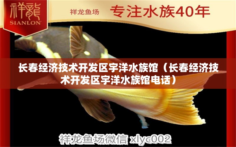 长春经济技术开发区宇洋水族馆（长春经济技术开发区宇洋水族馆电话）