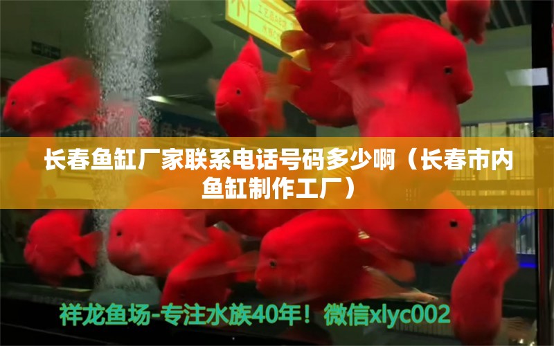 长春鱼缸厂家联系电话号码多少啊（长春市内鱼缸制作工厂）