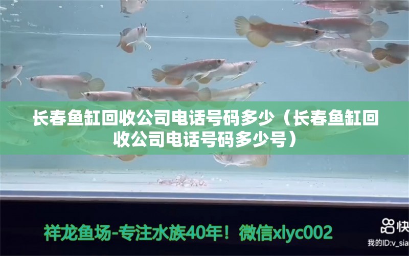 长春鱼缸回收公司电话号码多少（长春鱼缸回收公司电话号码多少号） 观赏鱼市场（混养鱼）