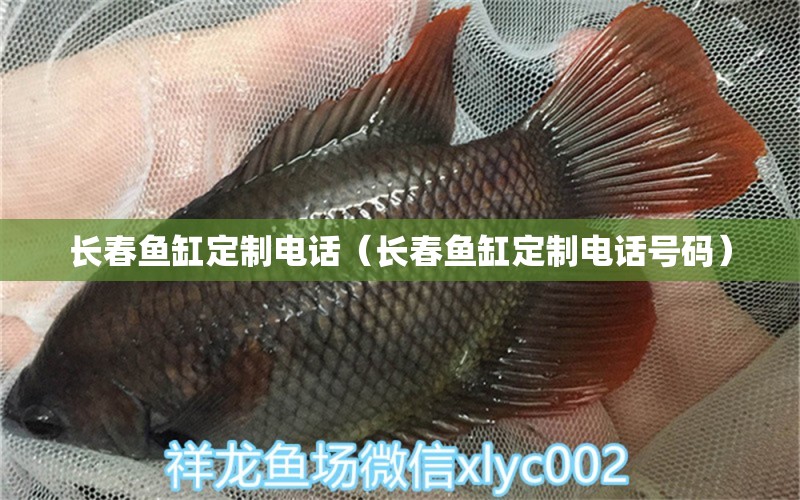 长春鱼缸定制电话（长春鱼缸定制电话号码） 其他品牌鱼缸