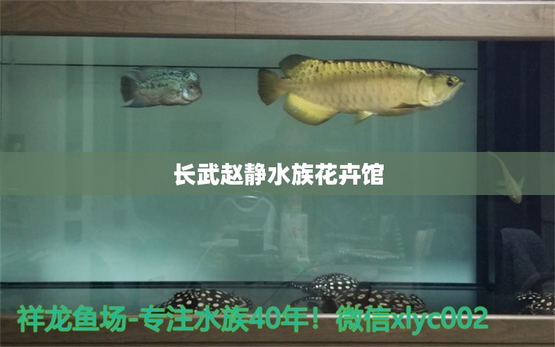 长武赵静水族花卉馆