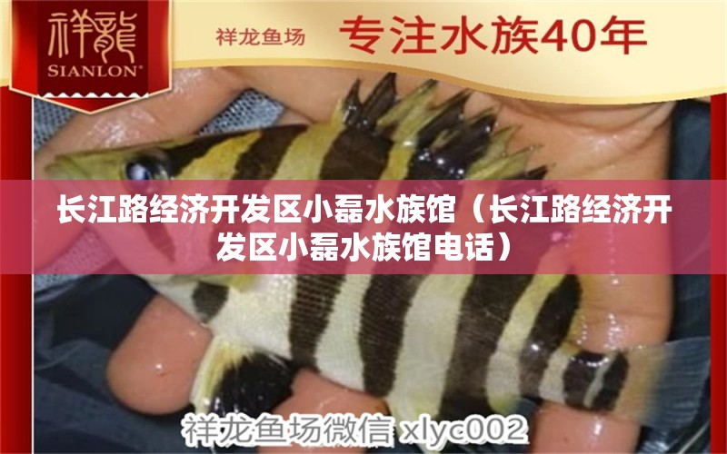 长江路经济开发区小磊水族馆（长江路经济开发区小磊水族馆电话）