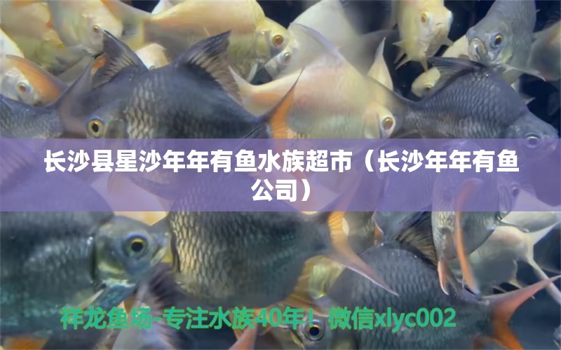 长沙县星沙年年有鱼水族超市（长沙年年有鱼公司） 全国水族馆企业名录