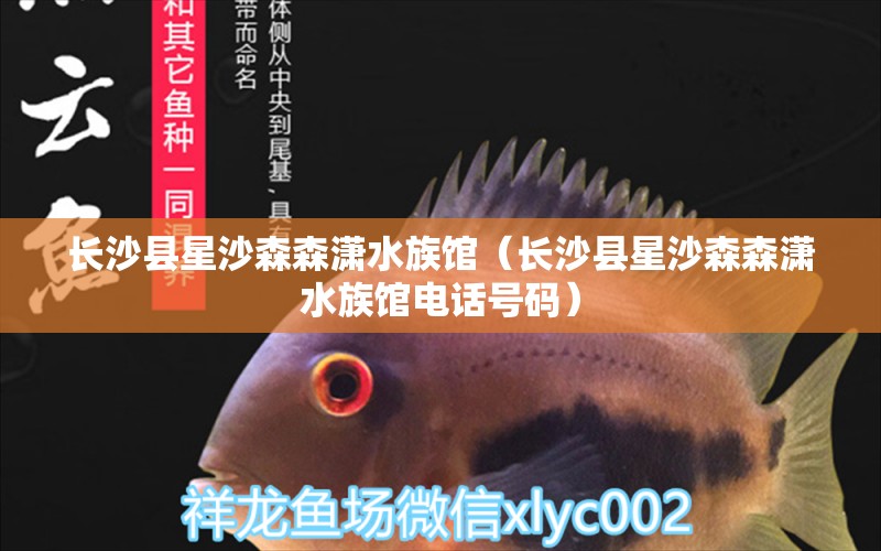 长沙县星沙森森潇水族馆（长沙县星沙森森潇水族馆电话号码） 全国水族馆企业名录