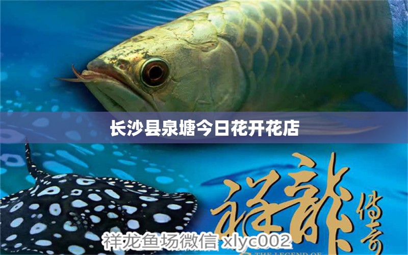 长沙县泉塘今日花开花店 全国水族馆企业名录