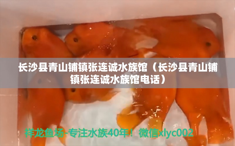 长沙县青山铺镇张连诚水族馆（长沙县青山铺镇张连诚水族馆电话） 全国水族馆企业名录