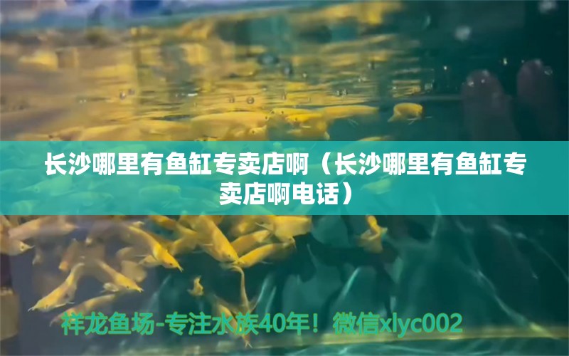 长沙哪里有鱼缸专卖店啊（长沙哪里有鱼缸专卖店啊电话） 其他品牌鱼缸