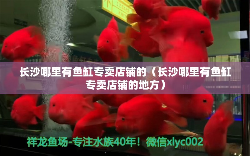 长沙哪里有鱼缸专卖店铺的（长沙哪里有鱼缸专卖店铺的地方）