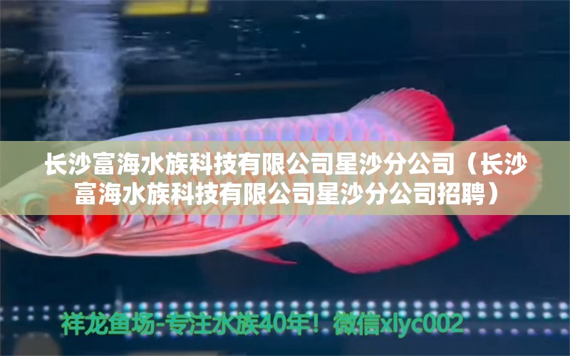 长沙富海水族科技有限公司星沙分公司（长沙富海水族科技有限公司星沙分公司招聘）