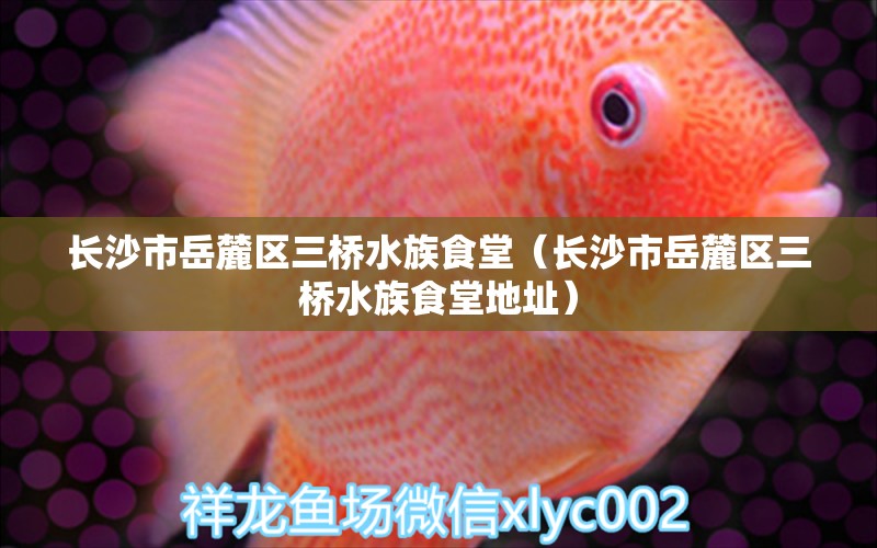 长沙市岳麓区三桥水族食堂（长沙市岳麓区三桥水族食堂地址） 全国水族馆企业名录